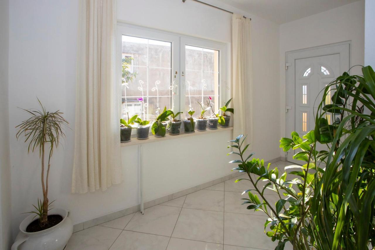 Villa Milenka - Apartmani Gorana Tučepi Exteriér fotografie